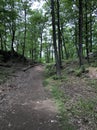 Bear Mountain trail